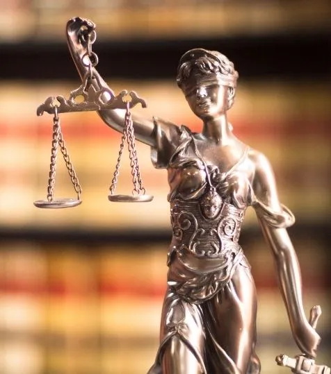 Advogado Especializado em Direto de Família e Sucessões